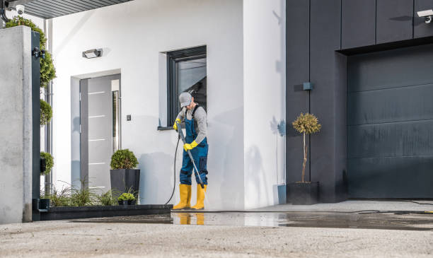Best Roof Washing  in Brighton, TN